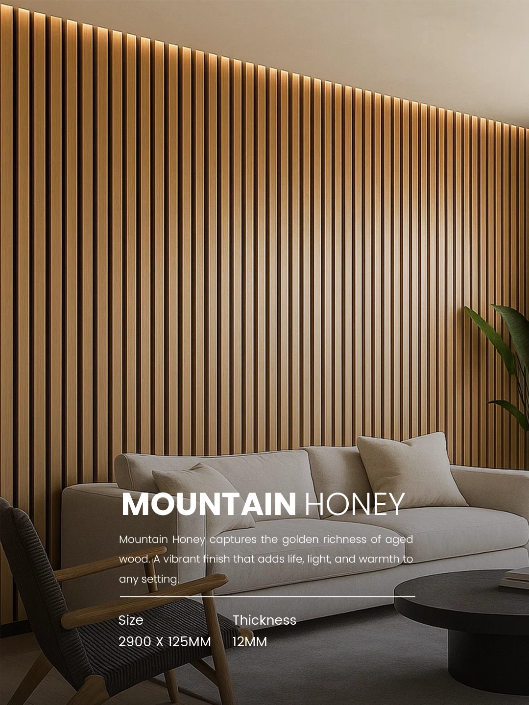 Home artboard 4.webp